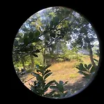 Tente de luxe Dome With Sunset View - Iris D'arga *