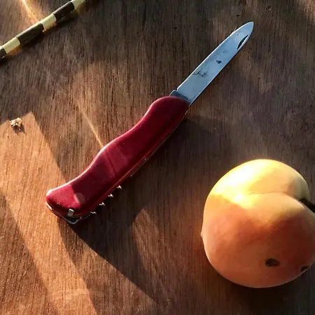 Dome With Sunset View - Iris D'arga *