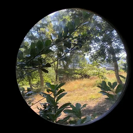 Luksustelt Dome With Sunset View - Iris D'arga *