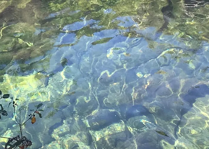 Dome With Sunset View - Iris D'arga Covas (Viana do Castelo)