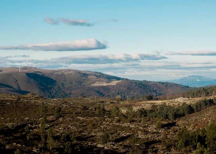 خيمة فخمة Dome With Sunset View - Iris D'arga